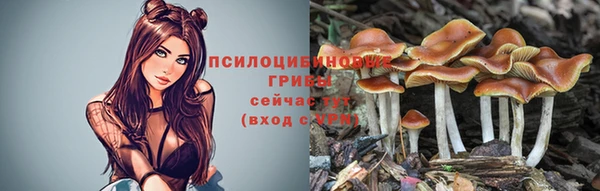 MDMA Premium VHQ Бронницы