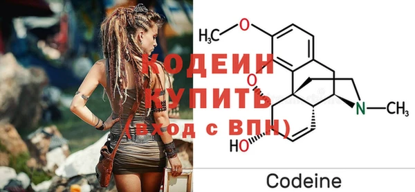 индика Богданович