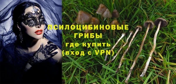 MDMA Premium VHQ Бронницы